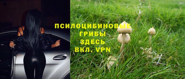 каннабис Алексин