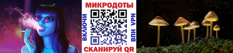 Псилоцибиновые грибы Cubensis  где найти наркотики  Томмот 